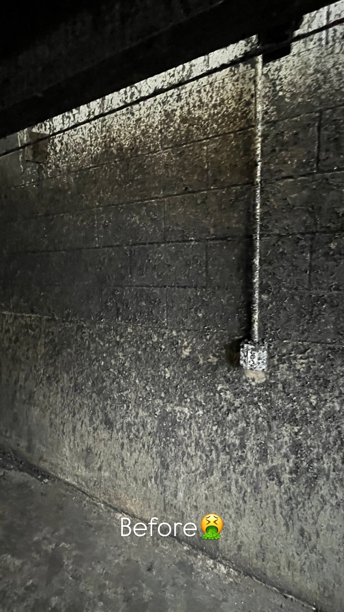 Industrial building before pressure washing