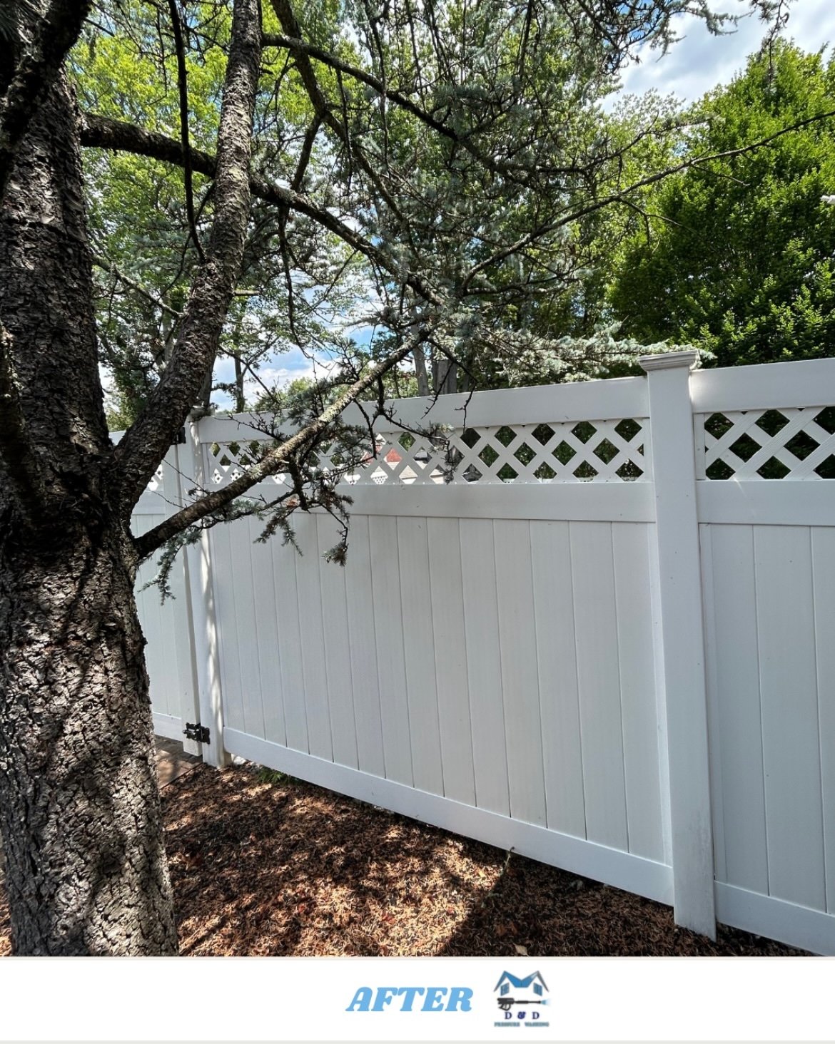 Clean fence after soft wash by D&D in North Jersey