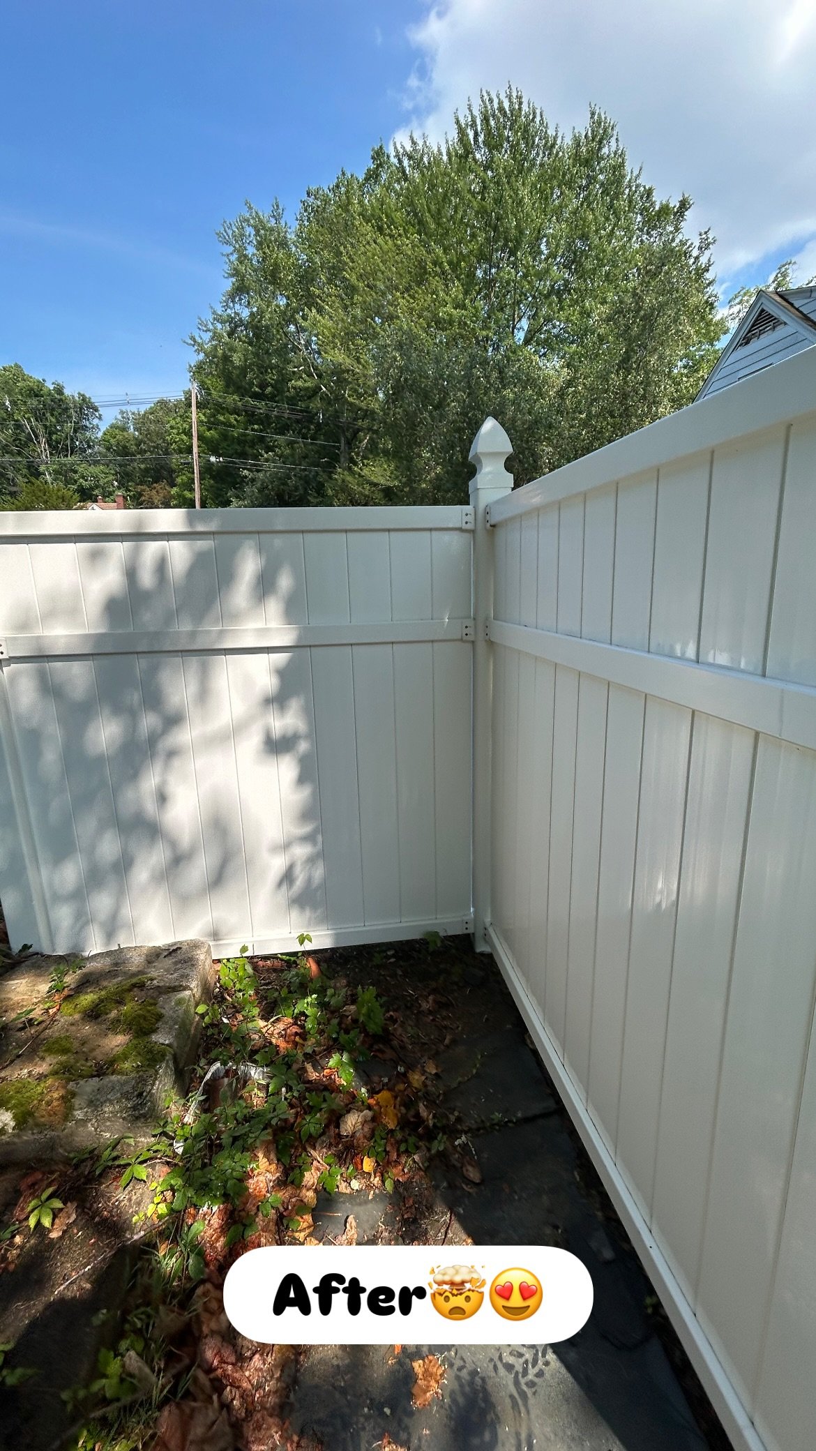 Restored wood fence after cleaning