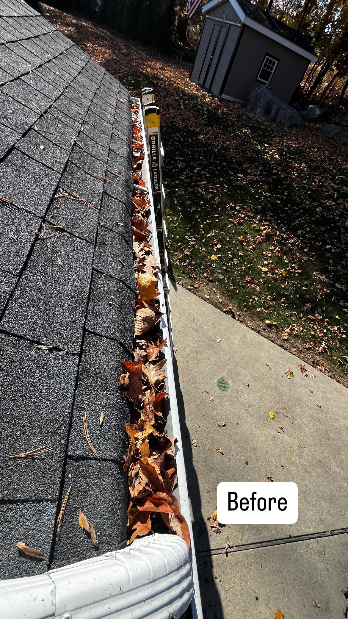 Leaf filled gutters before clearing in North Jersey